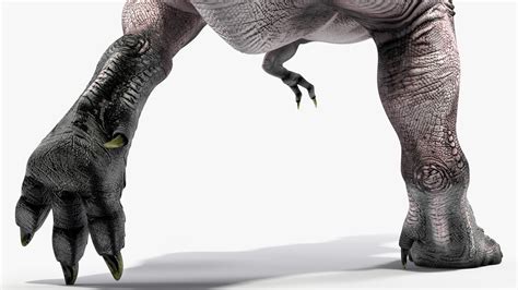 3D T Rex Running Animated Rigged for Maya model | 3D Molier International