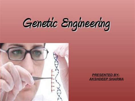 Genetic Engineering Basic Steps 的图像结果