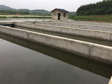 池塘循环流水养殖系统（IPRS）与配套设施