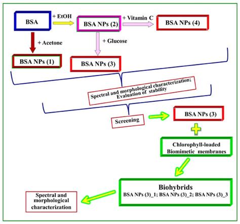 Bio-Entities Based on Albumin Nanoparticles and Biomimetic Cell ...
