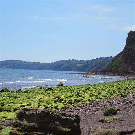 NESS COVE (2025) All You Need to Know BEFORE You Go (with Photos ...