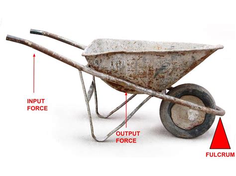 Second-Class Lever - Rube Goldberg