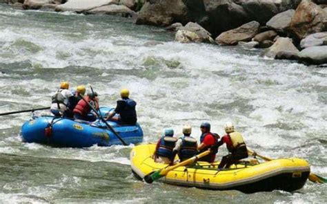 Head To Pin Valley National Park In Spiti: The Snow Leopard's Famed Habitat