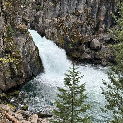 MCCLOUD RV RESORT - Campground Reviews & Photos - Tripadvisor