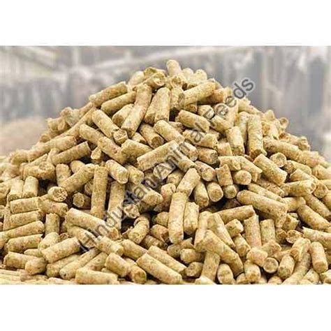 Dairy Cattle Feed Manufacturer, Supplier from Jamnagar