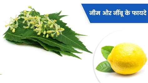 नीम और नींबू के फायदे | Lemon and Neem Health benefits in Hindi