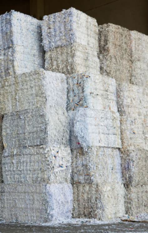 Waste Paper | Synergy International