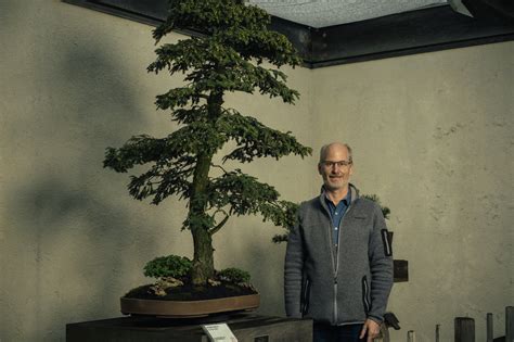 National Bonsai Foundation - Bonsai Museum Washington DC