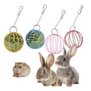 Buy Windfall Sphere Treat Guinea Pig Hamster Rat Rabbit Feed Dispenser ...