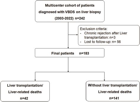 Histopathological Features Predicting Long-term Clinical Outcomes in Patients with Vanishing ...
