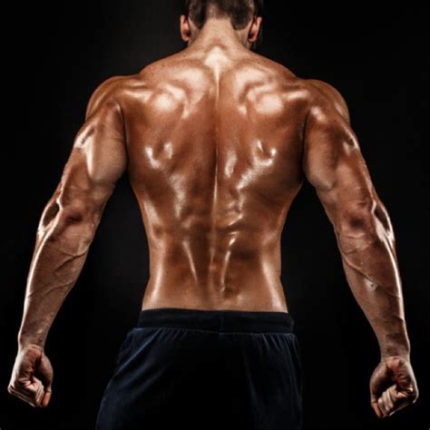 9 Best Middle Back Exercises for Strength & Mass - SET FOR SET