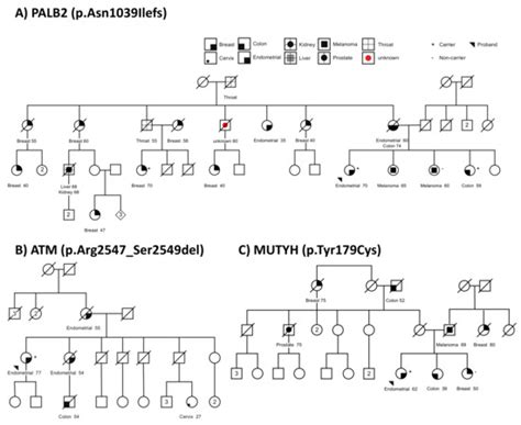 Tumor Signature Analysis Implicates Hereditary Cancer Genes in ...
