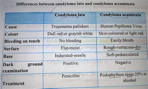 Condyloma Lata Vs Condyloma Accuminata