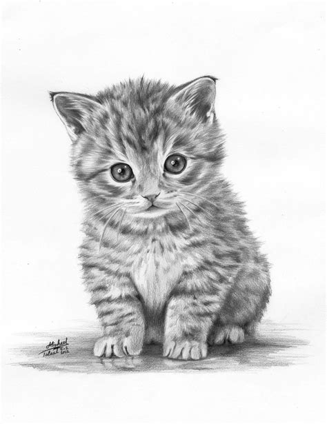 cat drawing kitten