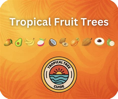 Tropical Fruit Trees - Tropical Tree Guide