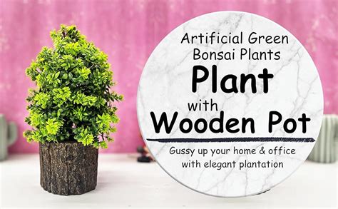 Dekorly Plastic Artificial Bonsai Tree Potted Plant