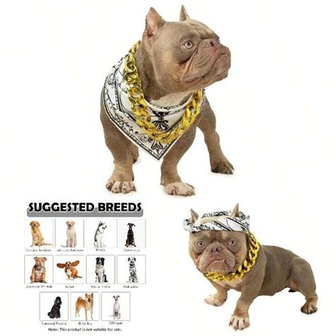 2Pack Dog Costume Set, Adjustable Gold Plated Dog Chain Collar And ...