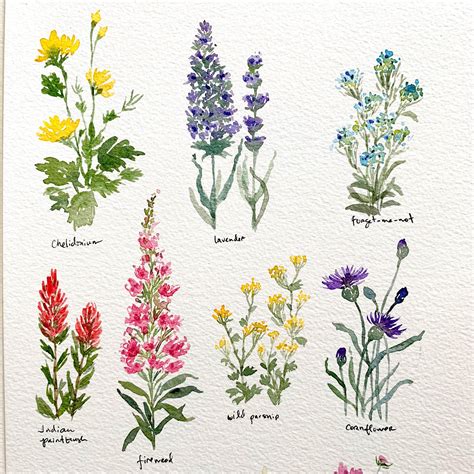 Pretty Little Wildflowers | Skillshare Projects | Wildflower drawing ...