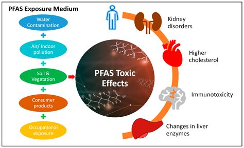 Overview of Per- and Polyfluoroalkyl Substances (PFAS), Their Applications, Sources, and ...