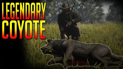 Legendary Coyote in Red Dead Redemption 2 World Location - YouTube