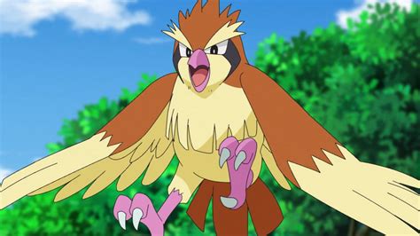 When Does Pidgey Evolve