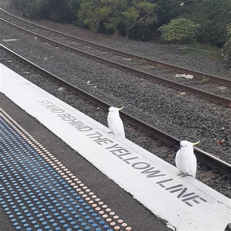 How about, no? : r/AustralianTrains