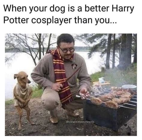 Pin by F A Williams on Quirky things | Harry potter memes hilarious ...