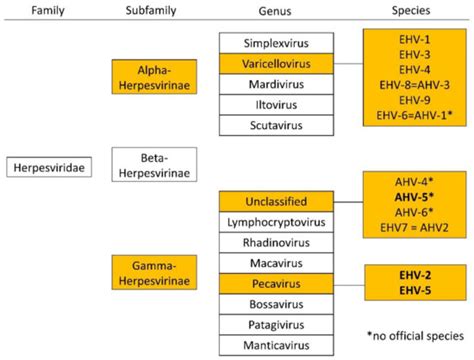 Viruses | Special Issue : Equine Viruses in Continental Europe
