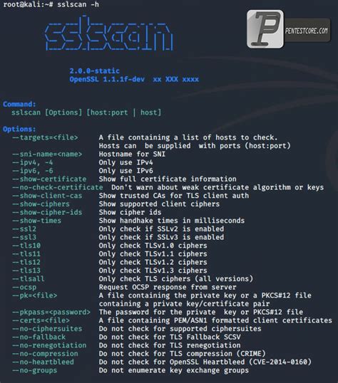 Image result for How to Use SSLScan