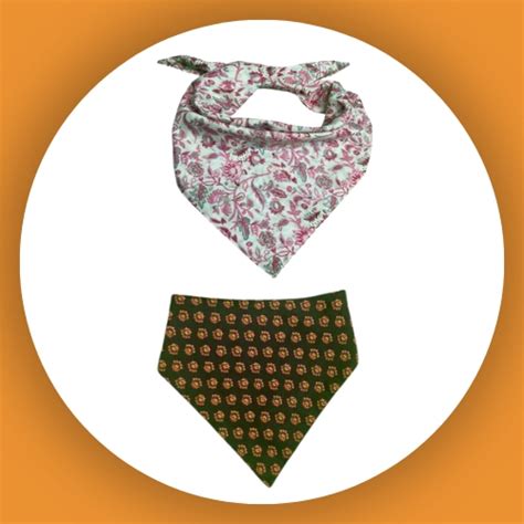 India's Best Online Pet Store | Buy Dog Accessories Online