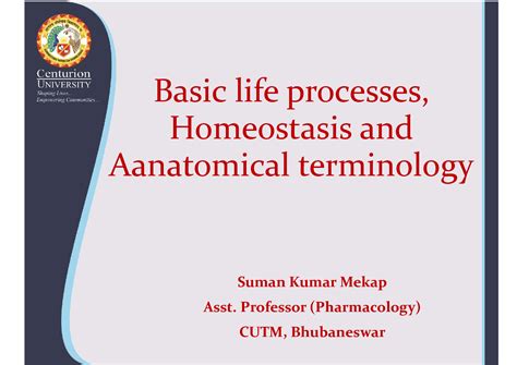 Image result for Basic Life Process