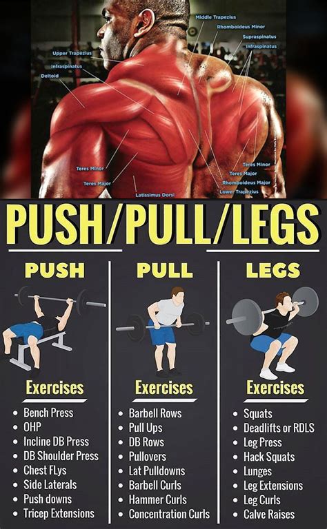 Push/Pull/Legs Split: 3-6 Day Weight Training Workout, 45% OFF