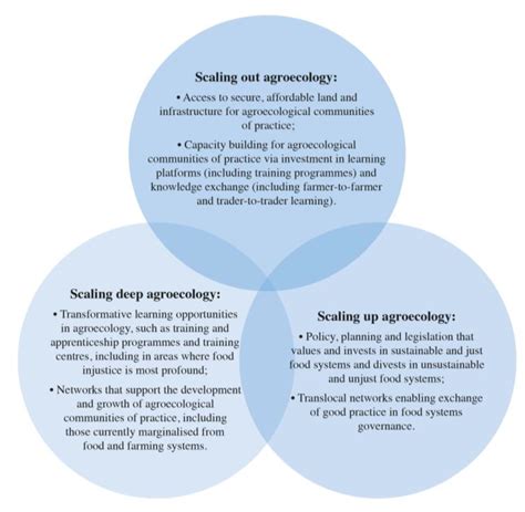 Pathways to Scaling Agroecology in the City Region: Scaling out ...