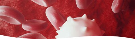 Bildergebnis für blutkrankheit