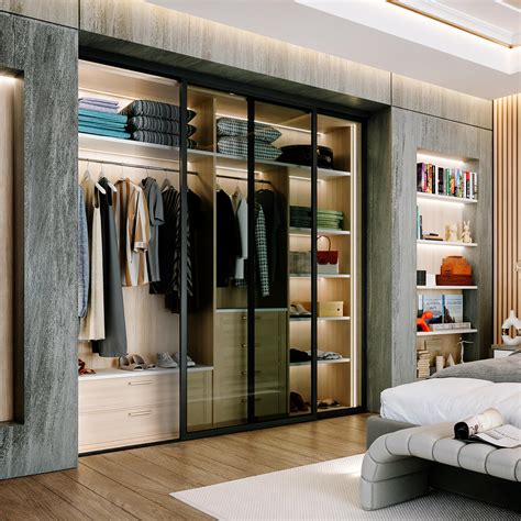 Glass Modern Closet Doors
