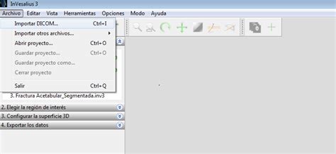 InVesalius Tutorial 的图像结果