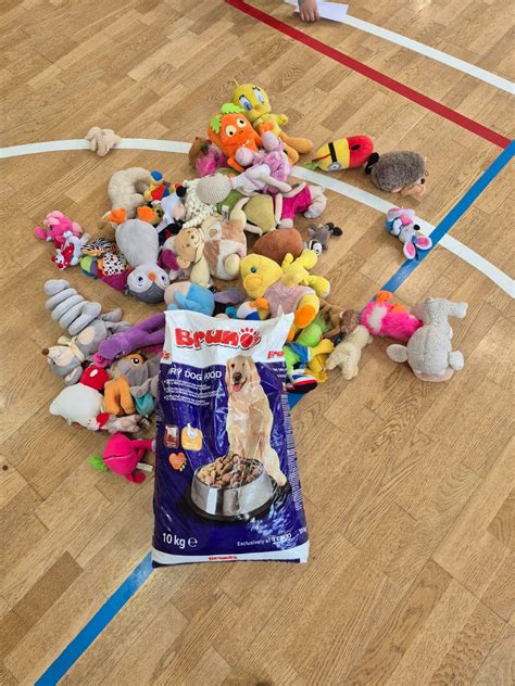 Základná škola s materskou školou Markušovce