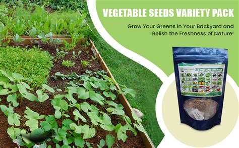 Sams Garden Store Organic Seeds for All-Season, Easy to Grow Indian ...