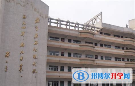 南宁三中国际学校高中部2023年招生简章