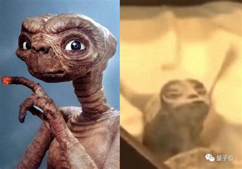 Alien Amnesty 的图像结果