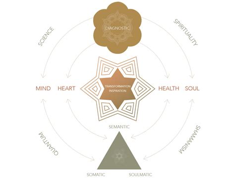 Transformation Process 的图像结果