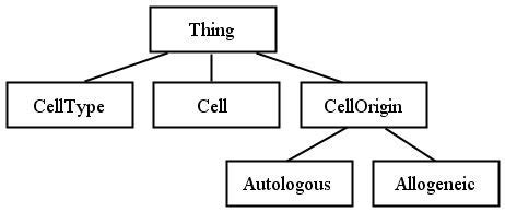Class Structure with Example 的图像结果