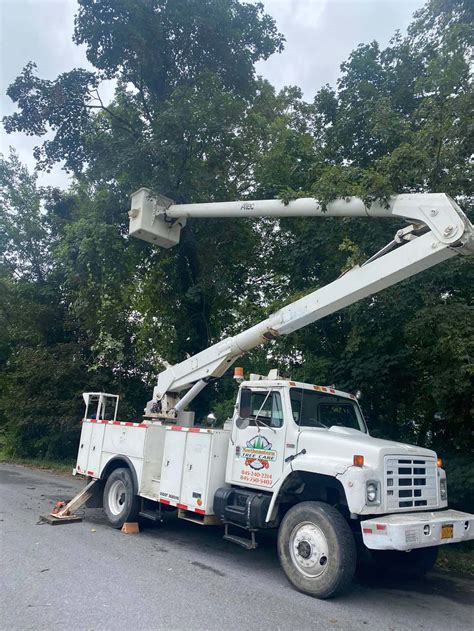 Northeastern Tree Service 的图像结果