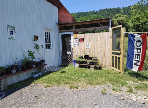 BUSHTAIL CREEK UNIQUE GIFTS (2026) All You Need to Know BEFORE You Go ...