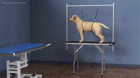 Pet Grooming Table 3D Model $28 - .3ds .blend .c4d .fbx .max .ma .lxo ...