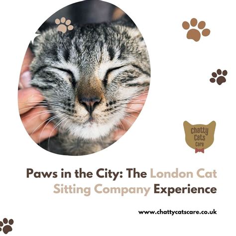 Paws in the City: The London Cat Sitting Company Experience | by Chatty ...