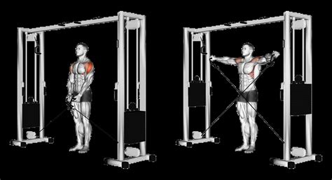 Cable Lateral Raise: Guide, Muscles Worked, Tips | Athlemove