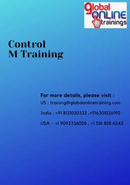 BMC Control-M Training 的图像结果