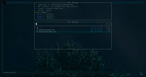 Nvim Config File 的图像结果