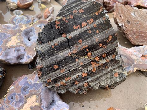 We went to Dugway geode beds Utah a few weeks ago for the first time ...